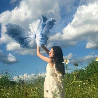 蜘蛛巢城